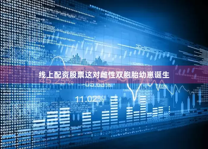 线上配资股票这对雌性双胞胎幼崽诞生