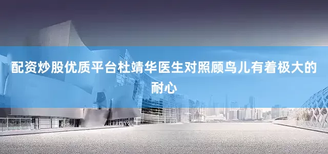 配资炒股优质平台杜靖华医生对照顾鸟儿有着极大的耐心