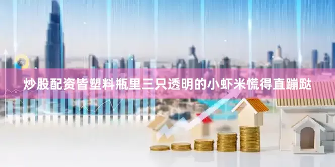 炒股配资皆塑料瓶里三只透明的小虾米慌得直蹦跶