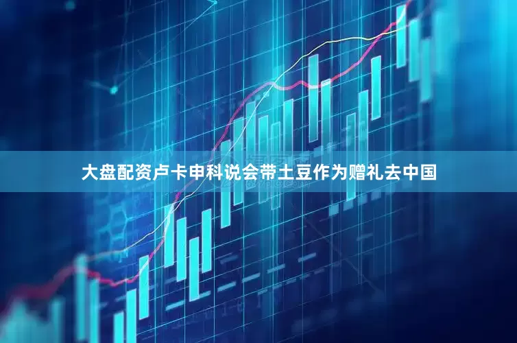 大盘配资卢卡申科说会带土豆作为赠礼去中国